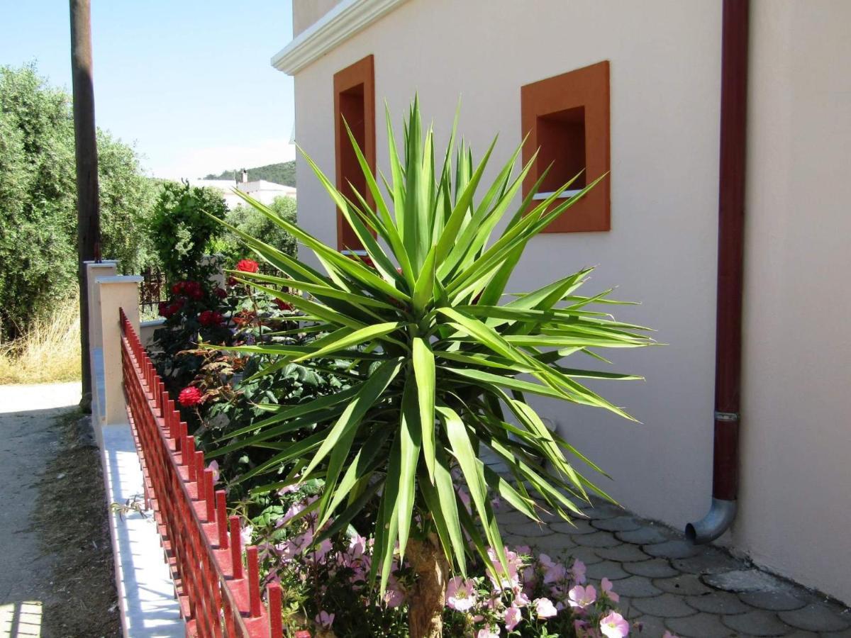 Olive Grove House Apartman Limenária Kültér fotó