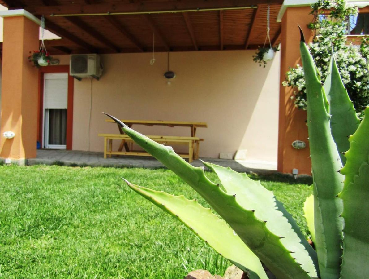 Olive Grove House Apartman Limenária Kültér fotó